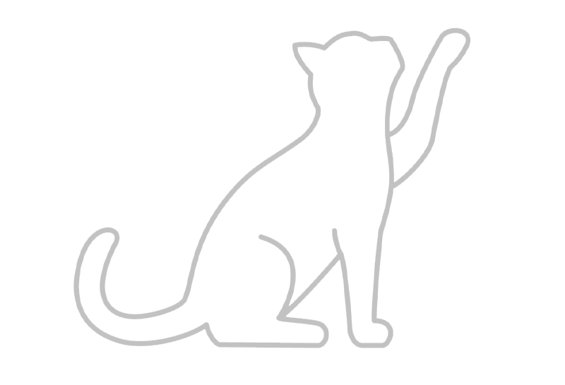 Katze Icon